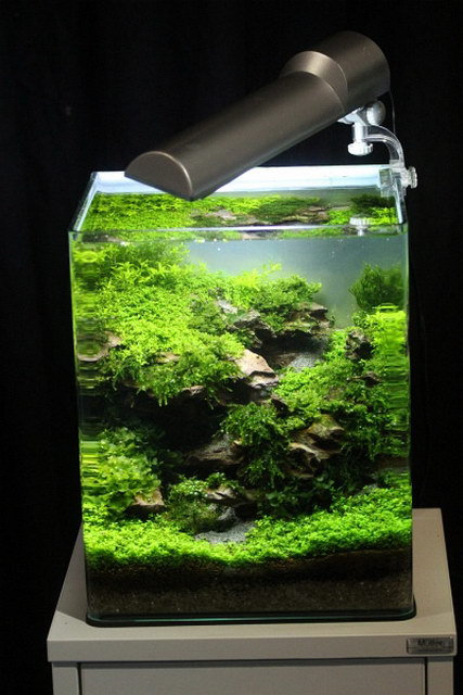 ABF_2013   029.jpg